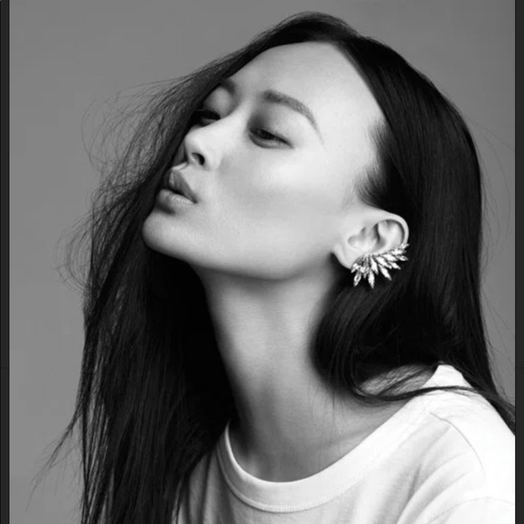 Ryan Storer crystal statement ear cuff and matching stud. - Picture 4 of 5